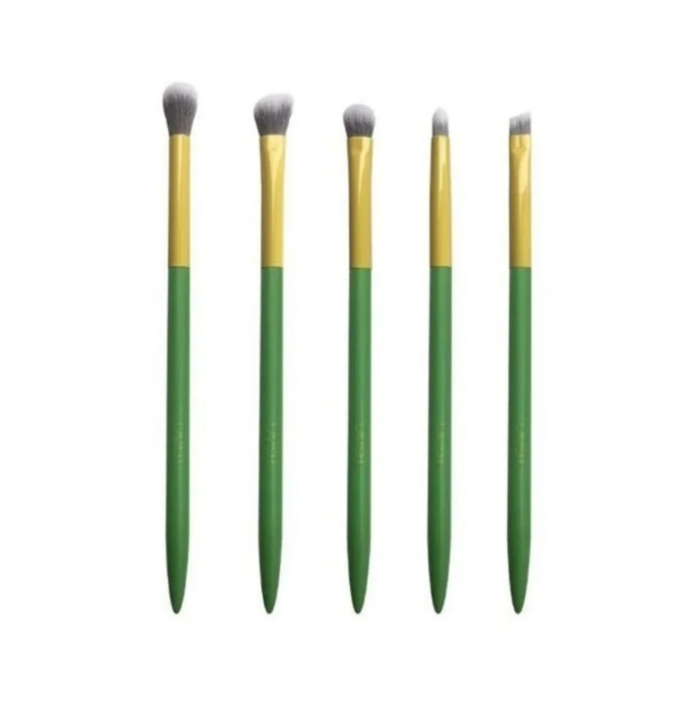 Normally $30! Brand new eye shadow brush set.